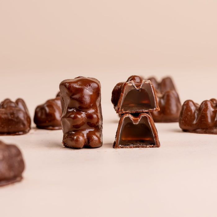 Swedish Milk Chocolate Gummy Bears Half Size Tube